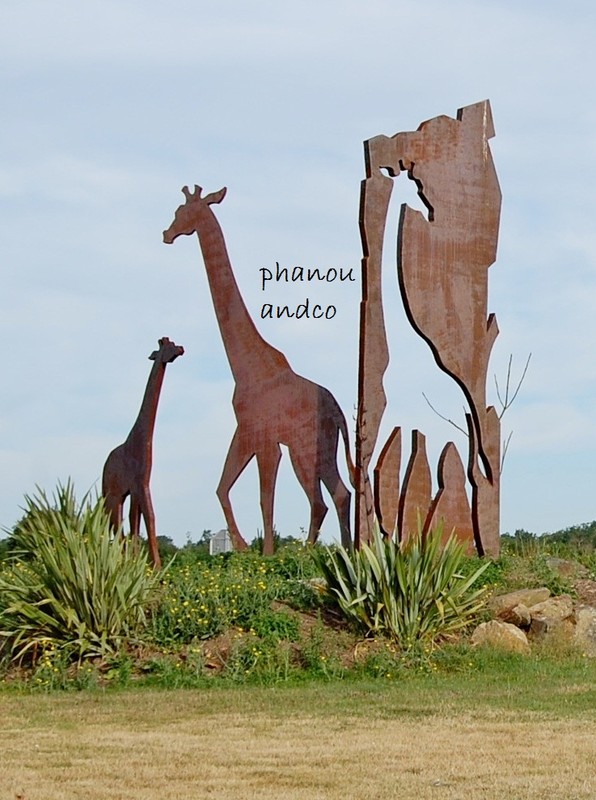 rencontre avec les dauphins planete sauvage