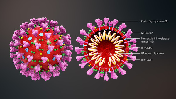 Covid 19 / Coronavirus – Notre vécu - 9